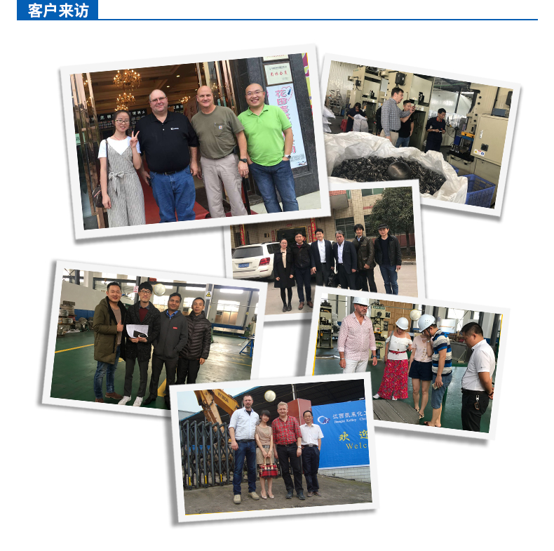 410S矩鞍环填料公司团队